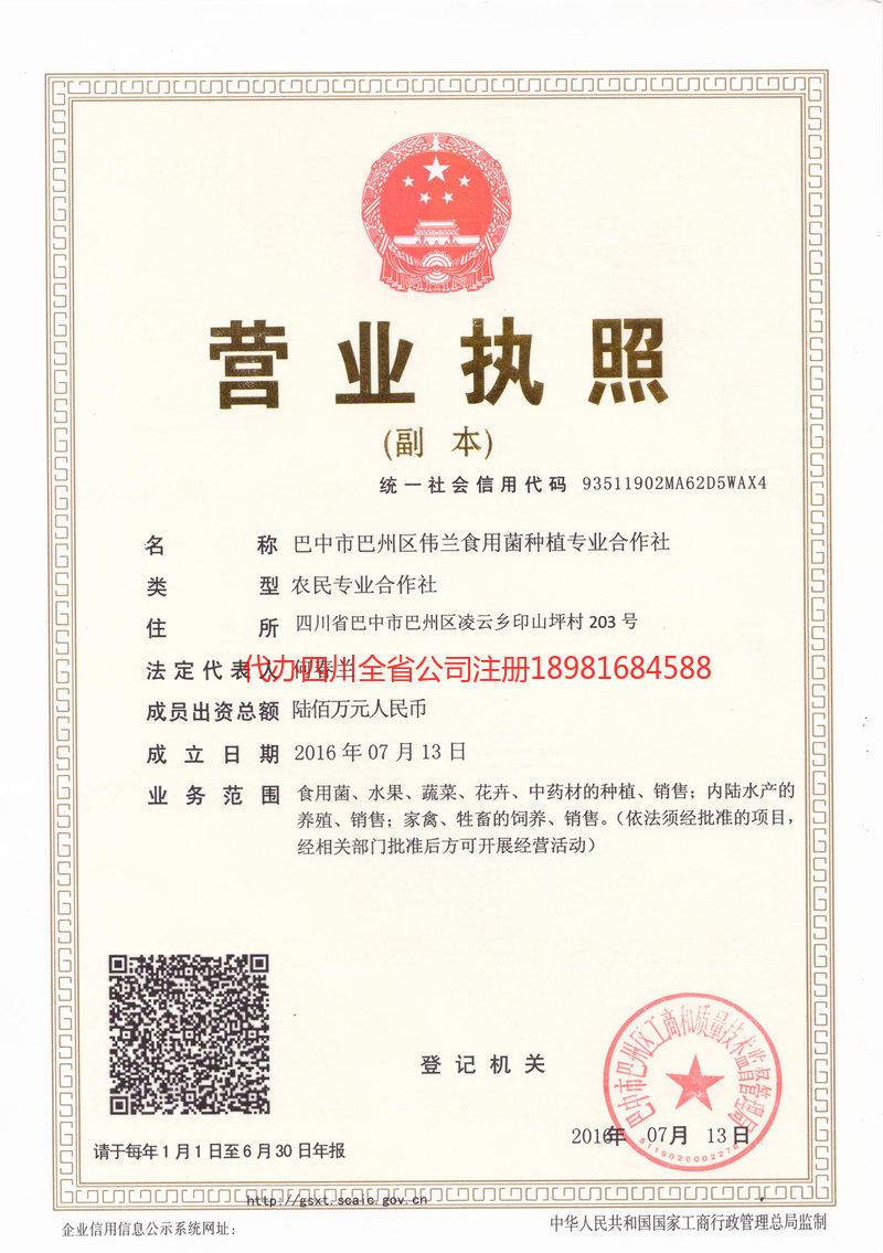 德阳市德阳市伟兰食用菌种植专业合作社